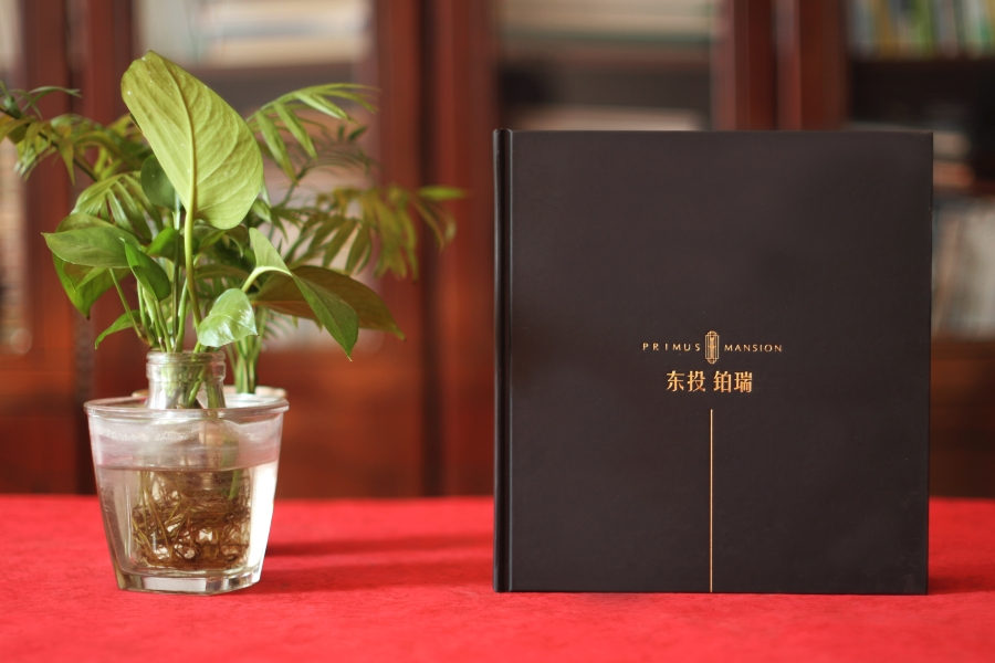 宣傳冊設(shè)計這么做，大氣側(cè)漏！
